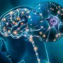 NorthStar Neurology P.C. / NorthStar Hyperbaric 