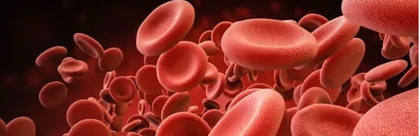 NorthStar Neurology P.C. / NorthStar Hyperbaric