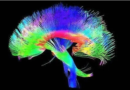 NorthStar Neurology P.C. / NorthStar Hyperbaric 