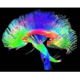 NorthStar Neurology P.C. / NorthStar Hyperbaric 